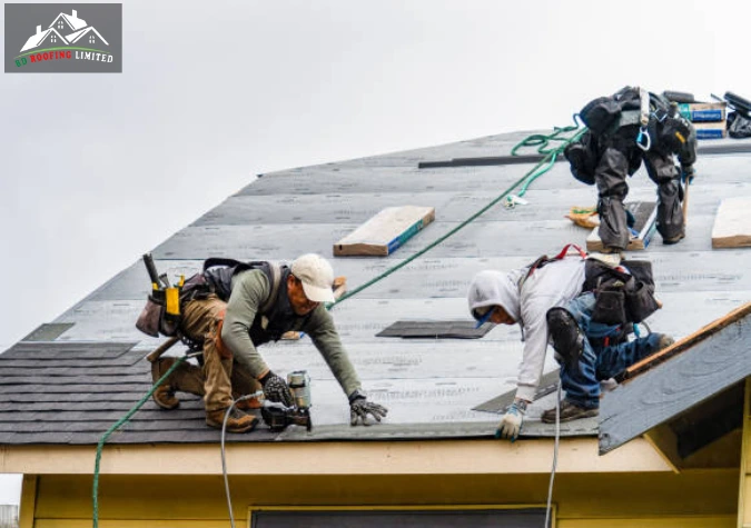 Top Warning Signs Your Roof Needs Repair in Auckland – Expert Insights for Every Property Owner